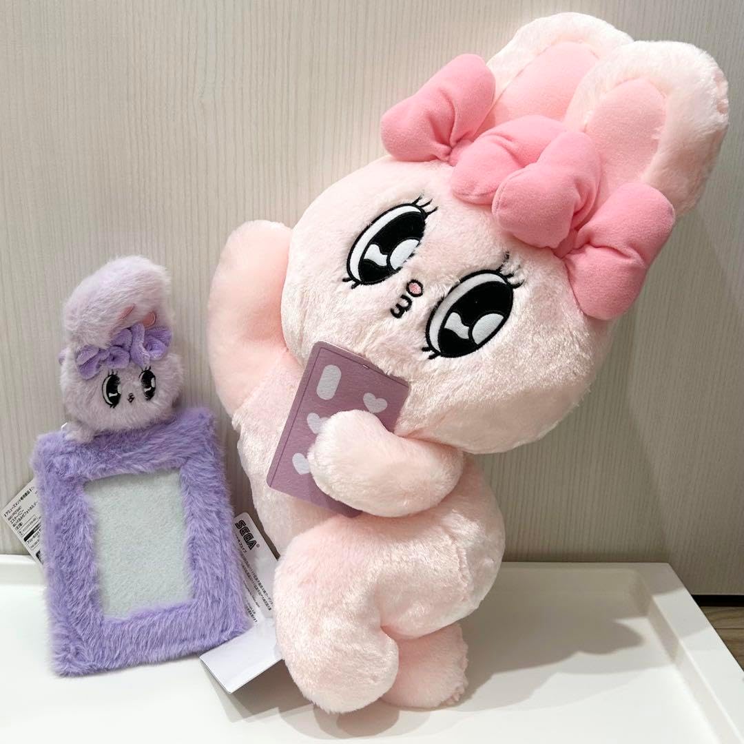 ZARD photo boxあの微笑みを忘れないで ZARD フォト・コレクション