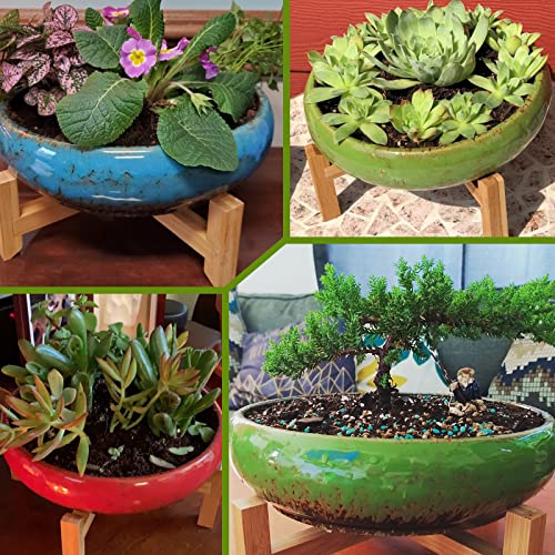 Pots de bonsaï peu profonds pour décoration salon moderne - 8