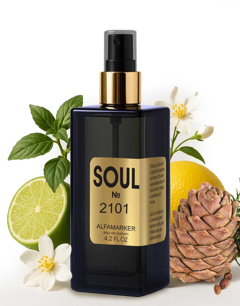 ALFAMARKER SOUL 2101 Aqua Giola Perfume for Women Long Lasting Eau de Parfum Spray 4 0 Fl Oz