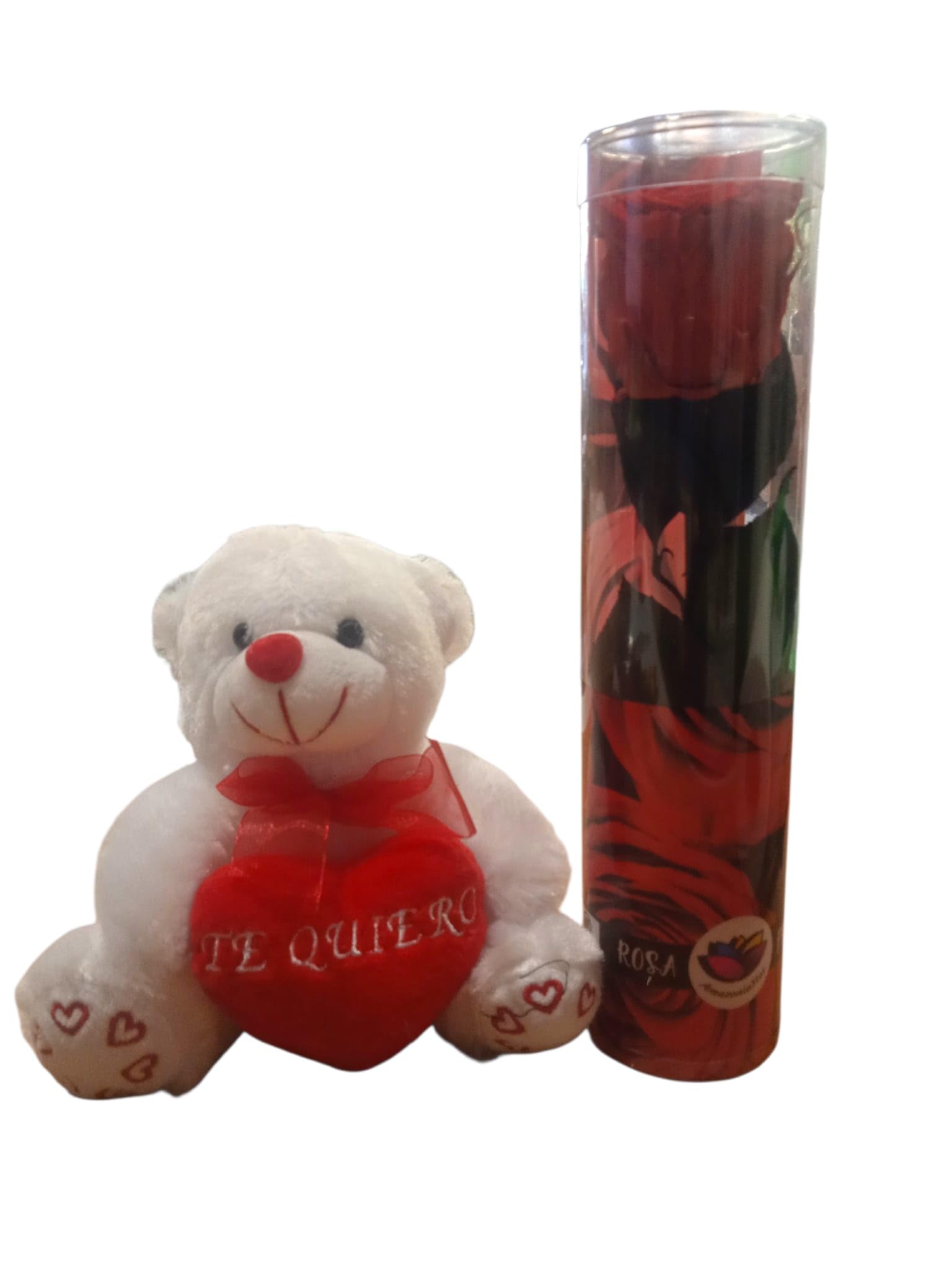Rose préservée rouge de qualité supérieure et son écrin de peluche
