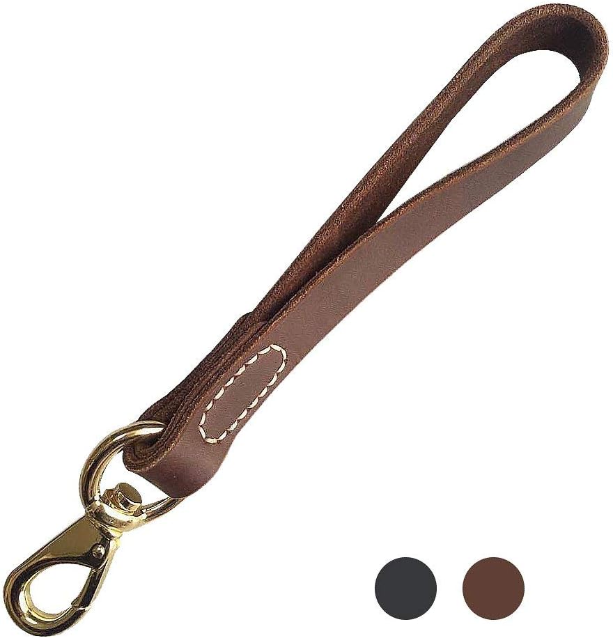Short dog leash Clearance