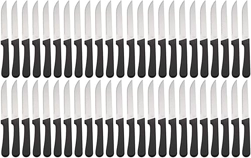 Tezzorio Juego de 48 cuchillos para carne de punta puntiaguda con borde dentado, cuchillos de carne de acero inoxidable de 5 pulgadas con asas de