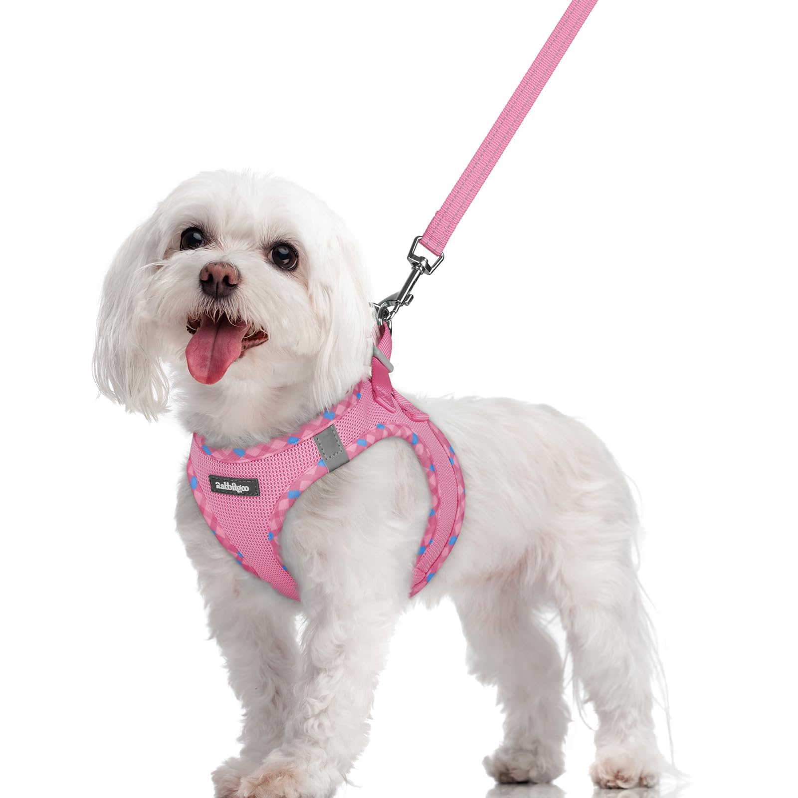 rabbitgoo Dog Harness Small Dog and Leash Set, Step-in Soft Mesh Puppy Harness with Reflective Strips, Lightweight Breathable Pet Vest for Walking Training, Pink & Plaid Trim, M