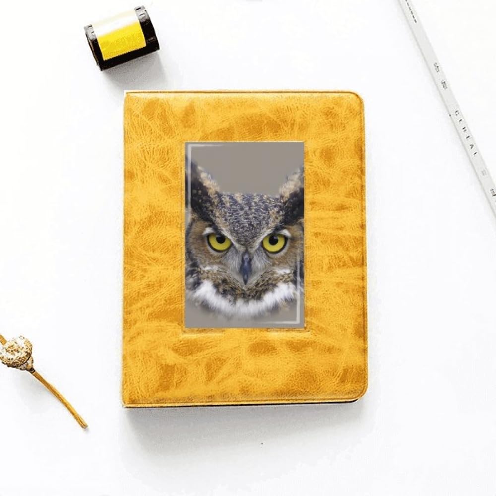 no/no Owl Eyes Pupil Night Art Deco Fashion Photo Album Family Wedding Picture 4x6