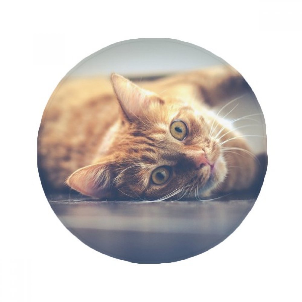 Tapis de sol chat imprimé pour cuisine, entrée et salle de bain cosy