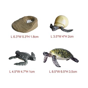 ウミガメの模型 レプリカ 海洋生物模型 ウミガメ レプリカ 海洋生物 のリアルなハンドメイド作品