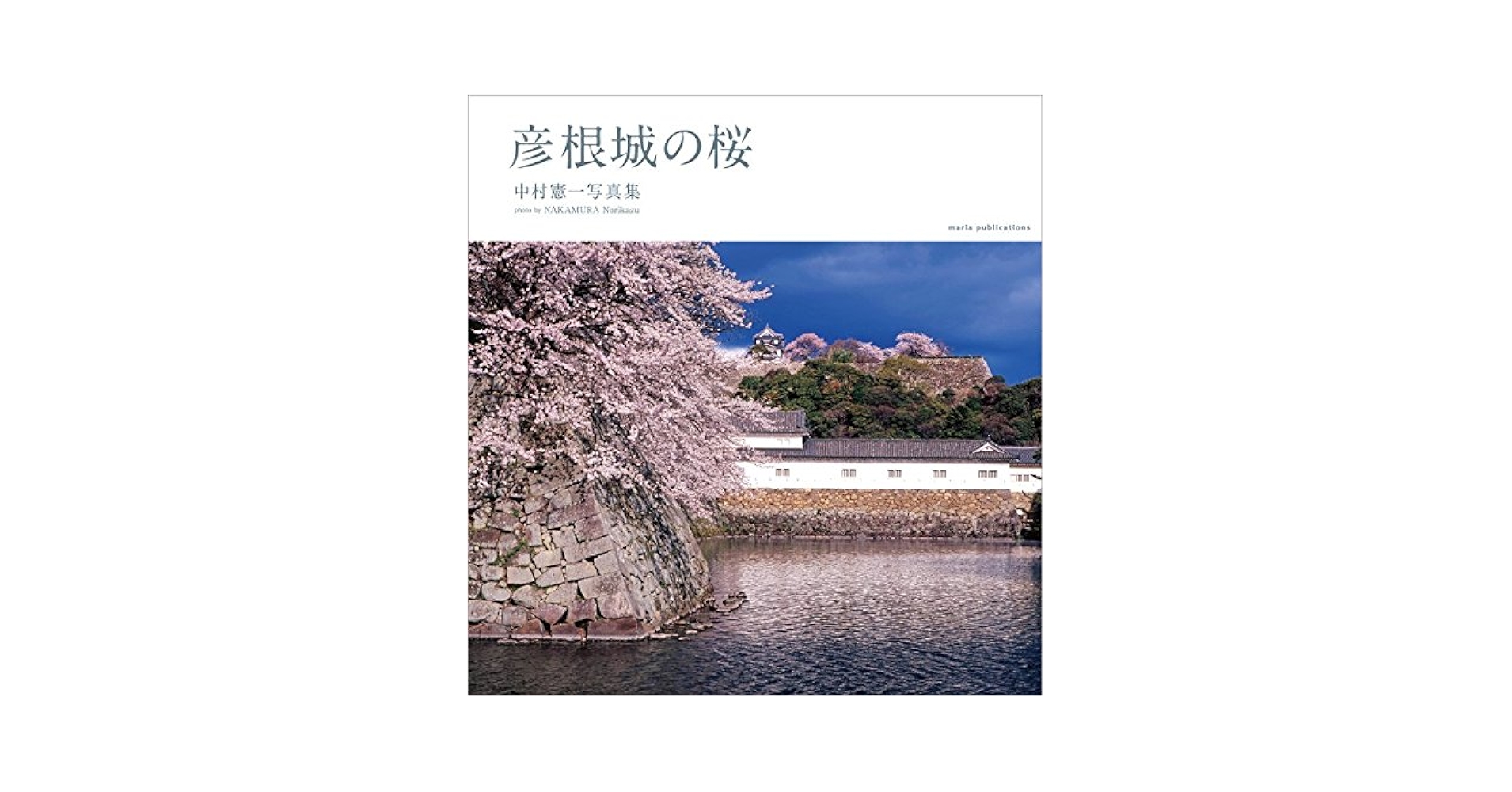 桜の彦根城、F6号油絵、佐原聖春 桜の彦根城、F6号油絵、佐原聖春