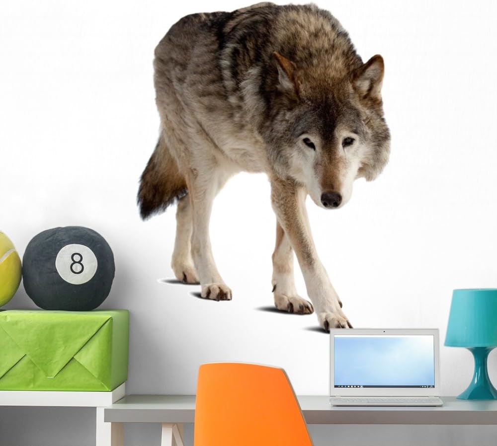 Wallmonkeys WM307782 Wolf Isolated Over White Peel and Stick Wall Decals (24 in H x 23 in W), Medium