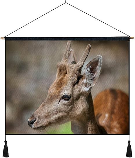 Amazon Co Jp 綿の麻 タペストリー 多機能 掛け軸 掛け物 横 70cmx50cm 鹿の顔の目まだら 個性 掛け軸 掛け物 掛けじく ポスター インテリア 組立式 部屋飾り壁 壁飾り ホーム キッチン
