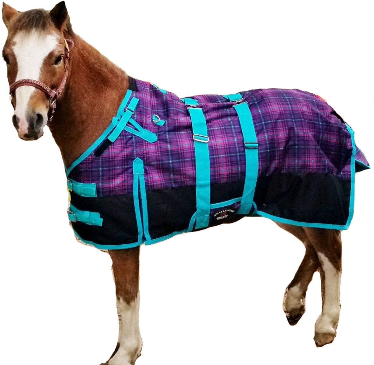 Couverture pour poulain et mini-cheval contre le froid au pré | Tapis d'extérieur chaud
