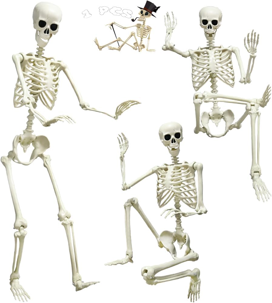Amazon.com : Posable Halloween Skeletons, 2Pcs Random Animal Skeletons ...