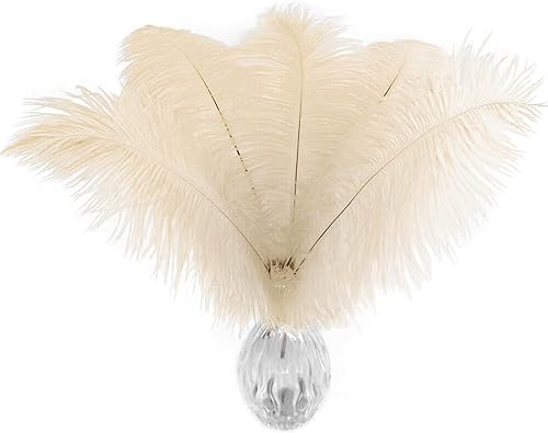 Piokio 40 plumas de avestruz champán natural de 10-12 pulgadas a granel para centros de mesa de fiesta de boda, decoraciones de Gatsby
