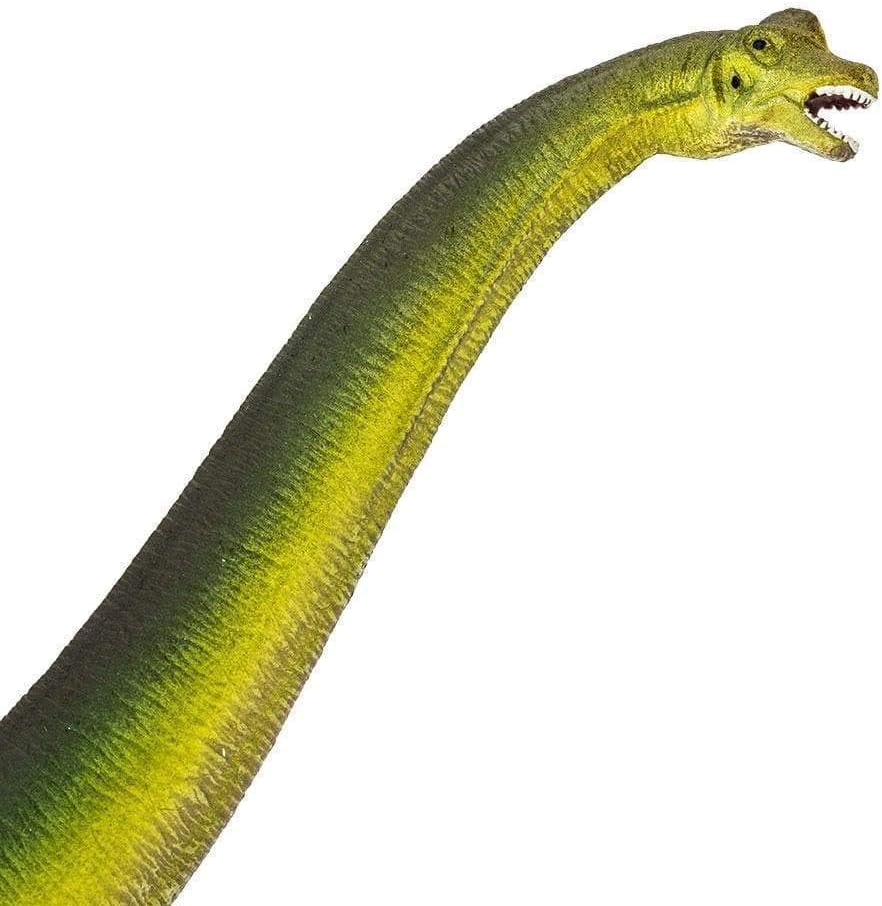 Safari Ltd. Brachiosaurus Figurine - Detailed 13" Long-Necked Dinosaur Figure - Educational Toy for Boys, Girls, and Kids Ages 3+ - Image 4