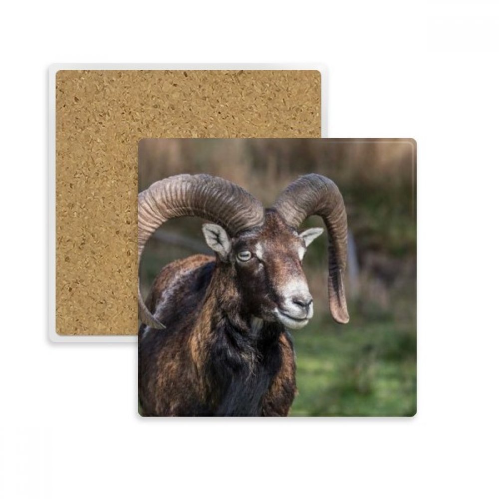 Tasse Coaster Porte-Absorbant en pierre motif mouton nature et sciences forestières multicolore