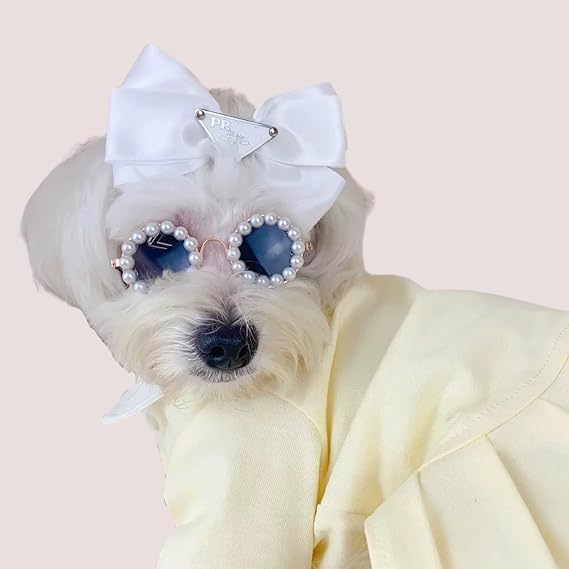 Cat/Dog Pearl Sunglasses - Funny Cute Dress Up Costume (Black,Medium) | Extravagant party styling, Photo props, Birthday shoots, Wedding looks, Holiday cards, Social media reels, Accessories
