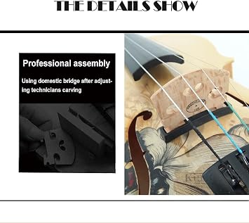 Aliyes Electric/Acoustic Violin Set for Beginners Special Designed Gift for Beginner with Hard Case,Bow,Extra Strings (4/4/Full-size)