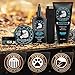 Bossman Complete Beard Kit – Men's Beard Oil Jelly, Fortifying Shower Conditioner, Balm, Mustache Wax & Comb – Beard Softener & Grooming Care (Magic Scent)