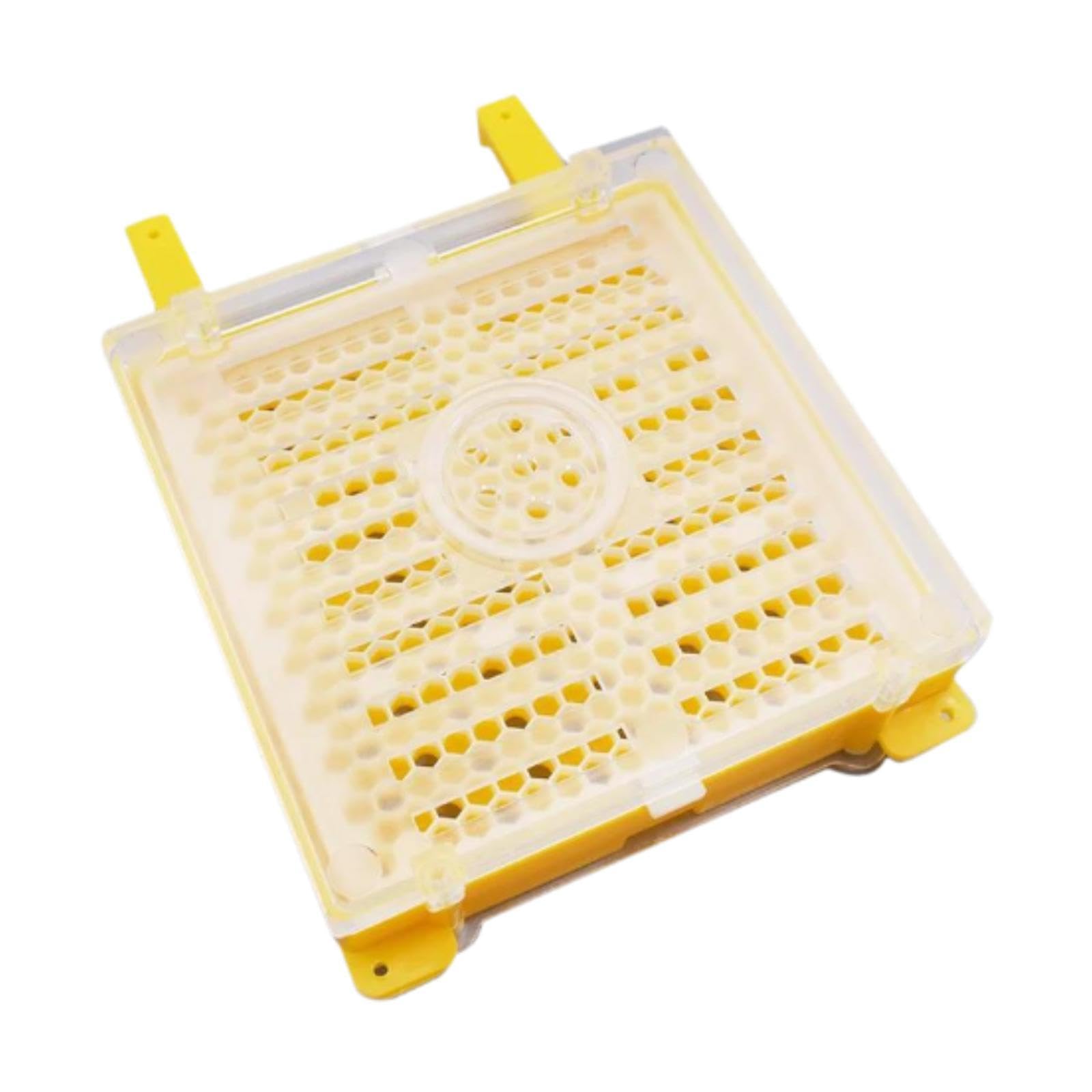 Système reproduction reine kit apiculture pour éviter l'essaimage