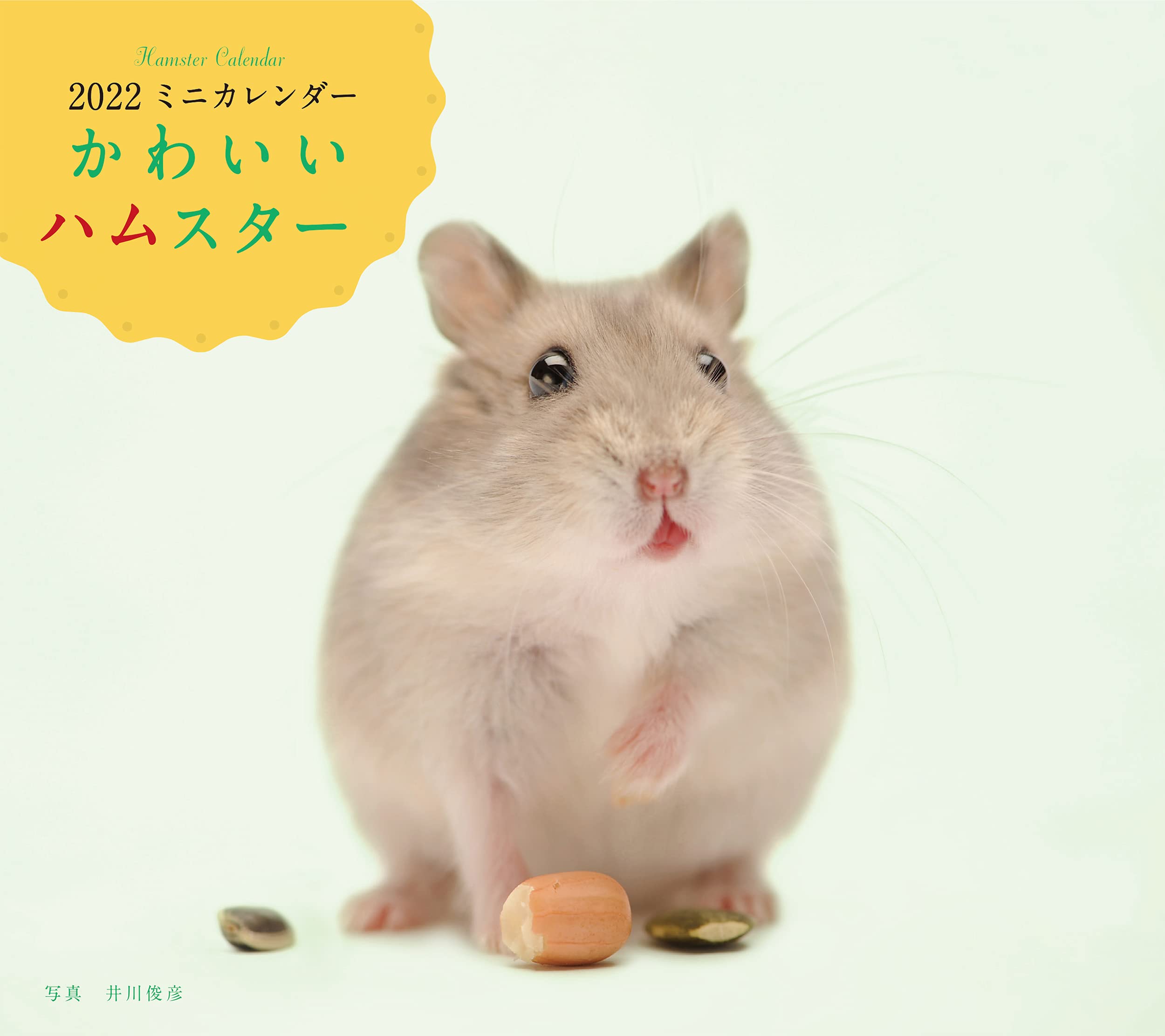 22年 カレンダー かわいいハムスター 誠文堂新光社カレンダー 井川 俊彦 本 通販 Amazon