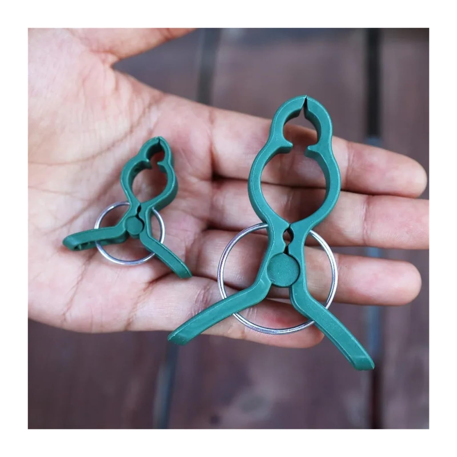 Generico Clip di Supporto for Piante Verdi for rampicanti con Clip fisse