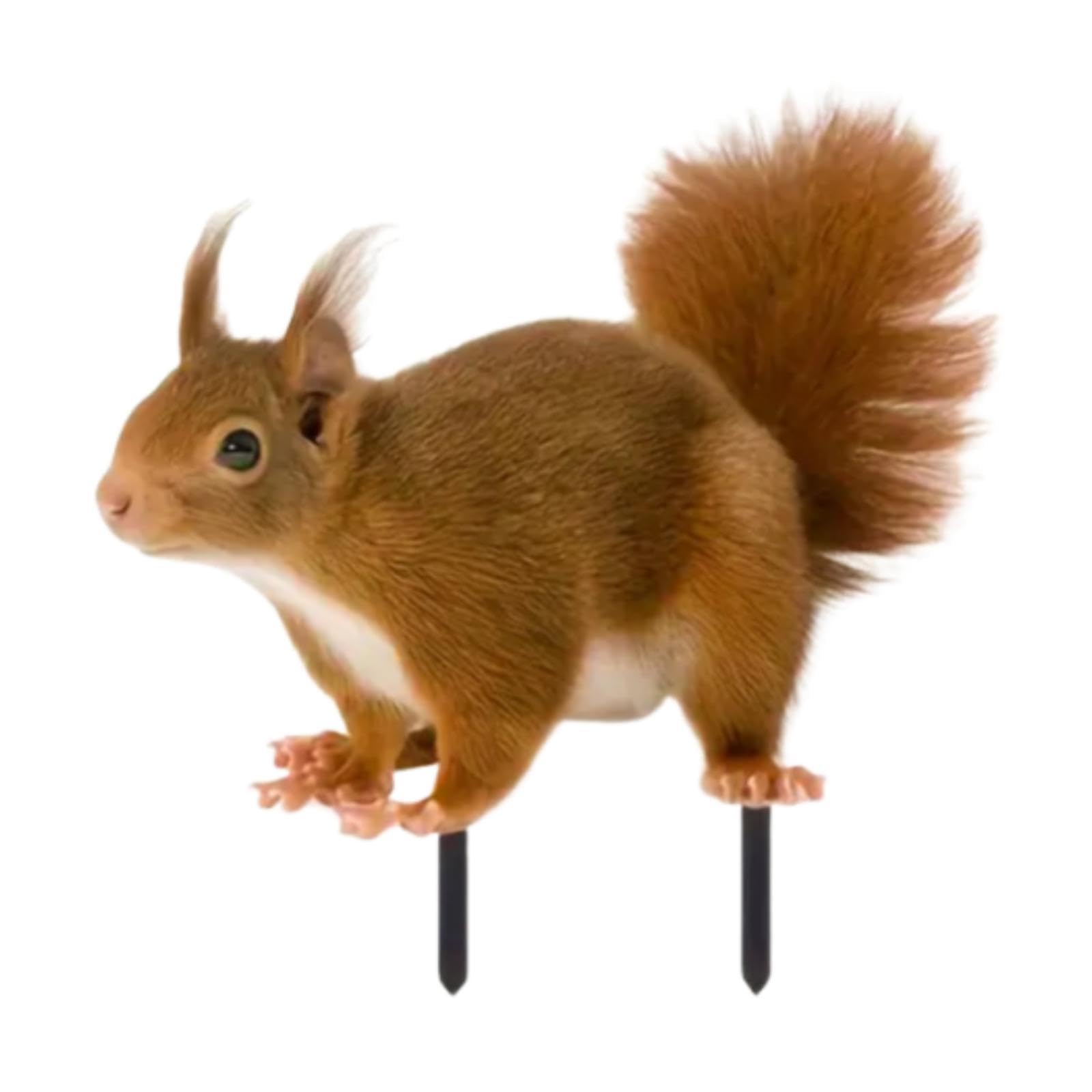 2D Flat Squirrel Decorative Garden Stake Creative Courtyard Flower Pot Decor-image-43