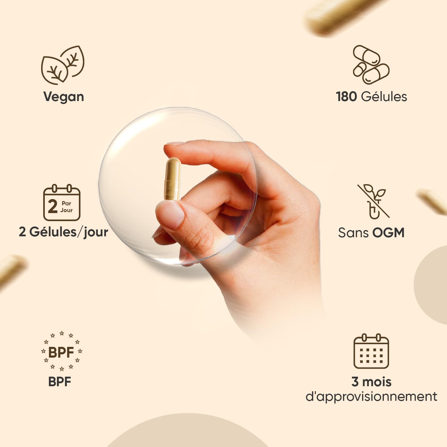 Complexe 8 Champignons Bio 180 Gélules Vegan Certifié AB - Reishi, Lions Mane, Cordyceps, Chaga, Shiitake, Maitake, Huître, Coprin, Champignons Gélules Enrichi en Curcuma et Gingembre pour 3 Mois
