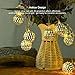 Goodia 30 LED String Lights Indoor, String Lights Bedroom 10.49Ft Moroccan Battery Powered String Lights Diwali Decorations for Home,Wedding Party,Christmas,Home Decor,Indoor Outdoor,Warm White