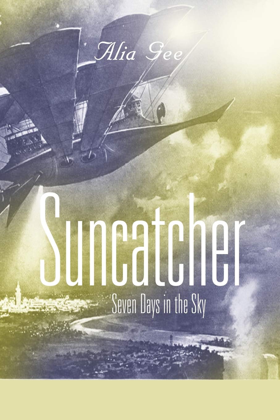 Buy Suncatcher: Seven Days in the Sky — BookShops.in