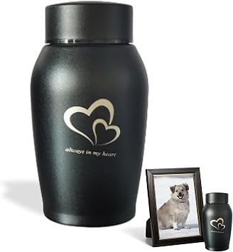 Ashes Keepsake Urns - Small, Stainless Steel, Waterproof Cat & Dog Urns