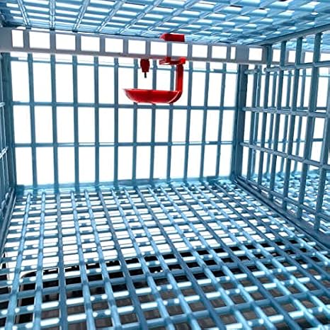 Quail Cage – Add Layer Power Washable, Durable ABS Plastic | Hatching Time