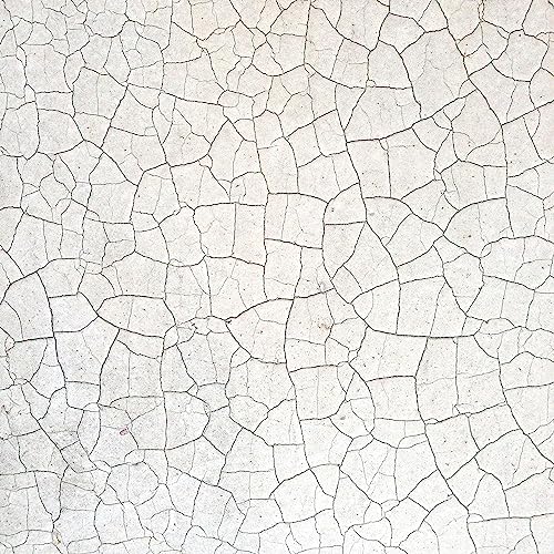 Expansive Technologies⁠ terrain with greater cover art