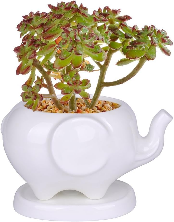 Kawaii Animals Ceramic Flower Pot 2 Styles Elephant Succulent Planter Cactus Succulent Plants Flower Cute White Pot (2 Elephants)