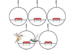 Handcrafted Slim Hummingbird Feeder with Perch