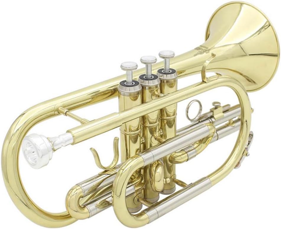 YIJU Exquisite Golden Bb Cornet Brass Instrument Set for Students Beginners : Musical Instruments