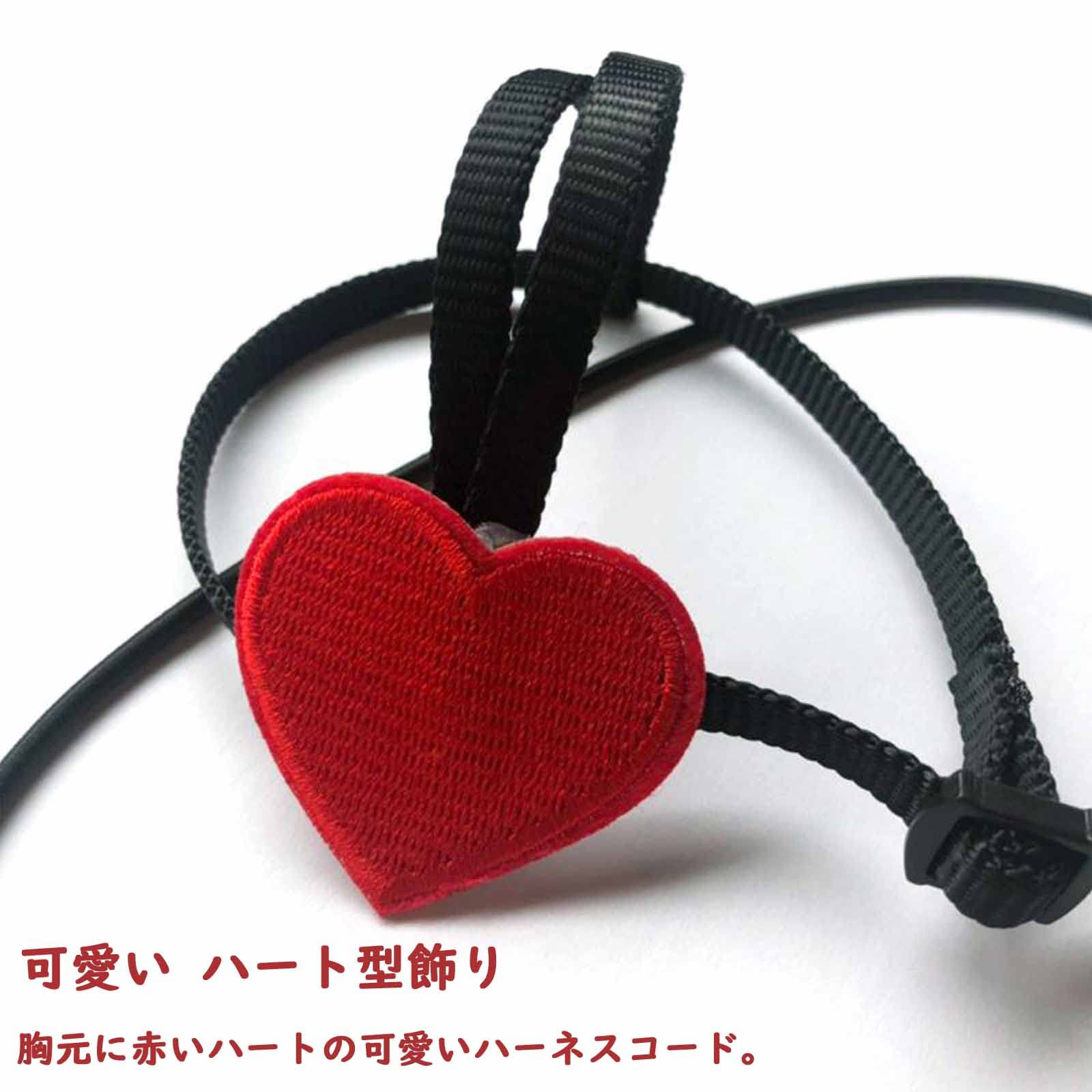 Amazon | 鳥用ハーネス リード オウムハーネス 小鳥のリード 可愛い 