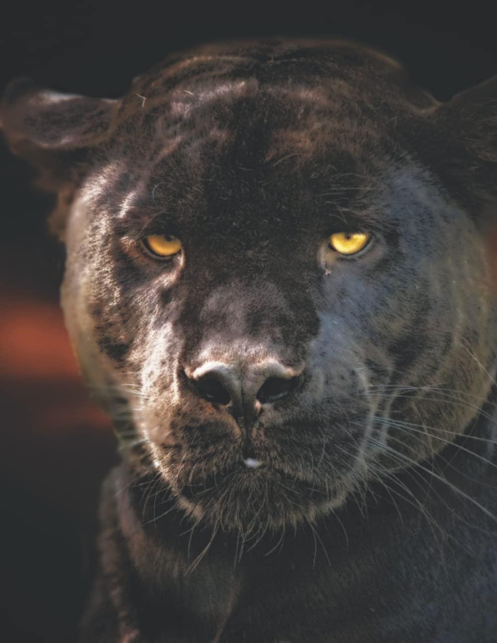 Black Panther Sketchbook: Large Notebook for Drawing, Writing, Painting, Sketching or Doodling. 150 blank pages with rounded borders. 8.5 x 11 inches (21.59 X 27.94 cm)