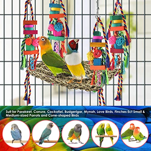 image for KATUMO Bird Toys, Bird Foraging Wall Toy Large Size Seagrass Woven Cli
