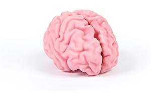 Think Again Genuine Fred Eraser: Erase Your Mistakes with Wit