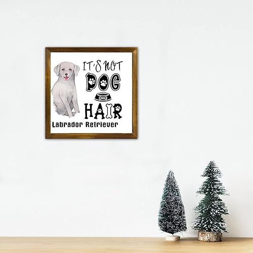 Vista 154 de Letrero de madera con texto en inglés «It's Not Dog Hair» («It's Not Dog Hair» American Bully Dog Dog), regalo decorativo para la pared del hogar