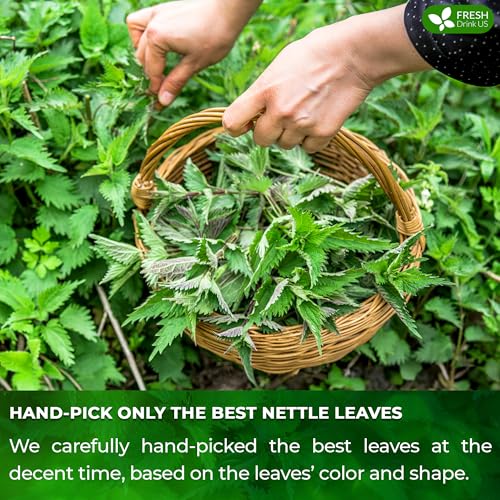 Image of FreshDrinkUS, Premium Perilla Leaf Tea - 30 Tea Bags | 100% Pure Perilla Leaves | Caffeine-Free, Non-GMO, Natural Packaging | Herbal Tea Bags for Daily Enjoyment. Gluten-Free. Sugar-Free. Vegan