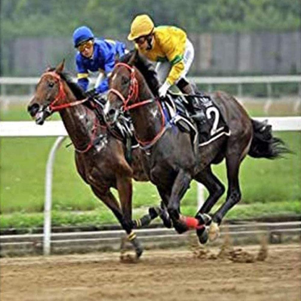 Juego de herramientas para recortar cascos de herrador de caballos Juego de herramientas profesionales para recortar cascos de caballos con cizallas de metal para caballos equinos y cortador de pezu