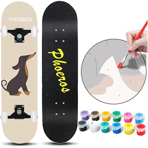 DIY Complete Skateboards- Standard Skateboards for Beginners Kids Boys Girls Teenager- 31''x 8''Canadian Maple Cruiser Pro Skate Board, Skateboards