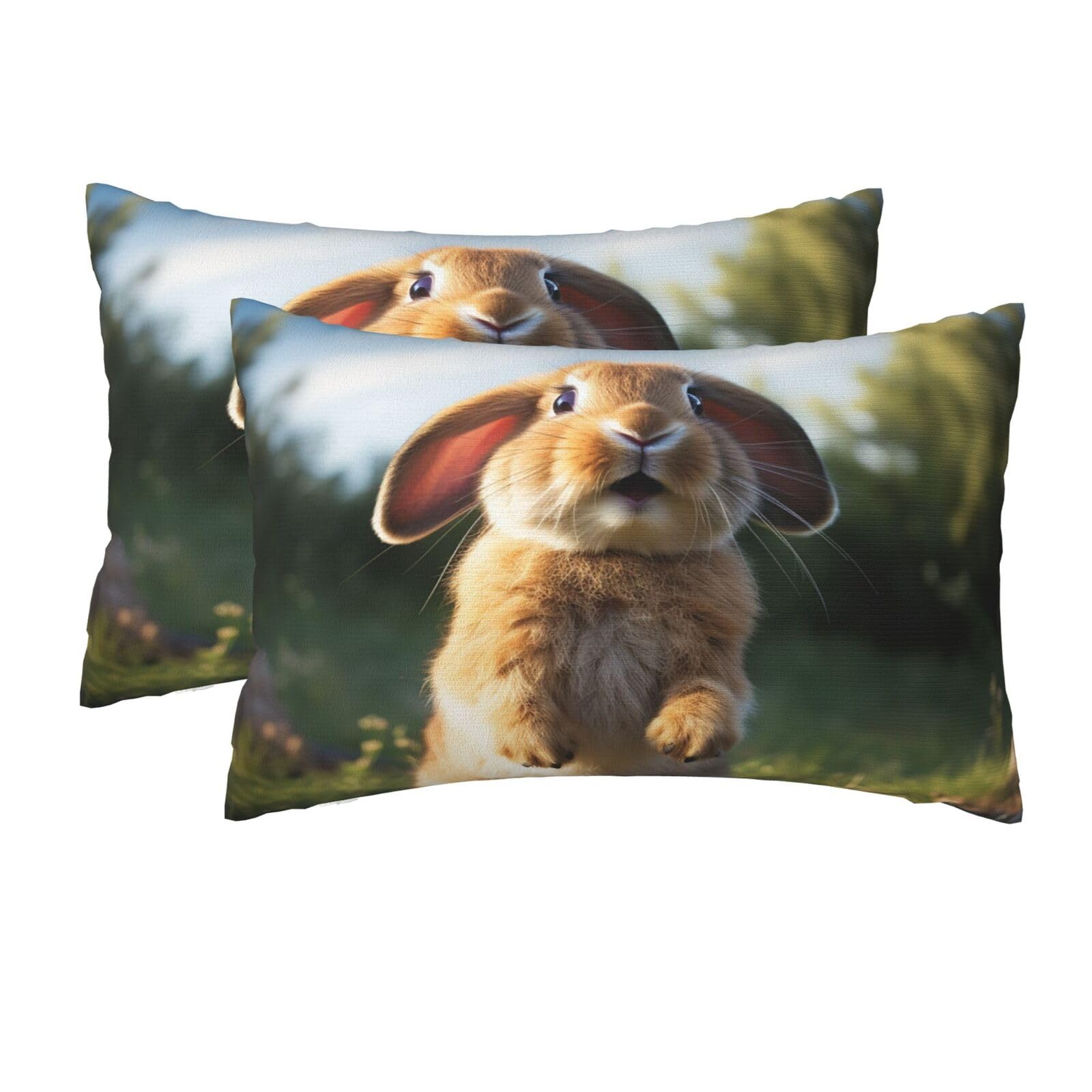 2 Pack Queen Pillow Cases with Hidden Zipper, Soft Breathable Pillow Covers for Hair and Skin, Cute Funny Rabbit Pillowcases 20"x30" Bed Pillow Protectors Cover for Sleeping Gifts