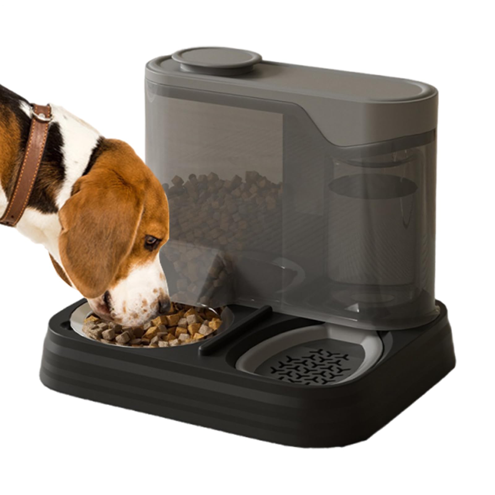 Nourriture automatique pour poissons et distributeur de nourriture domestique