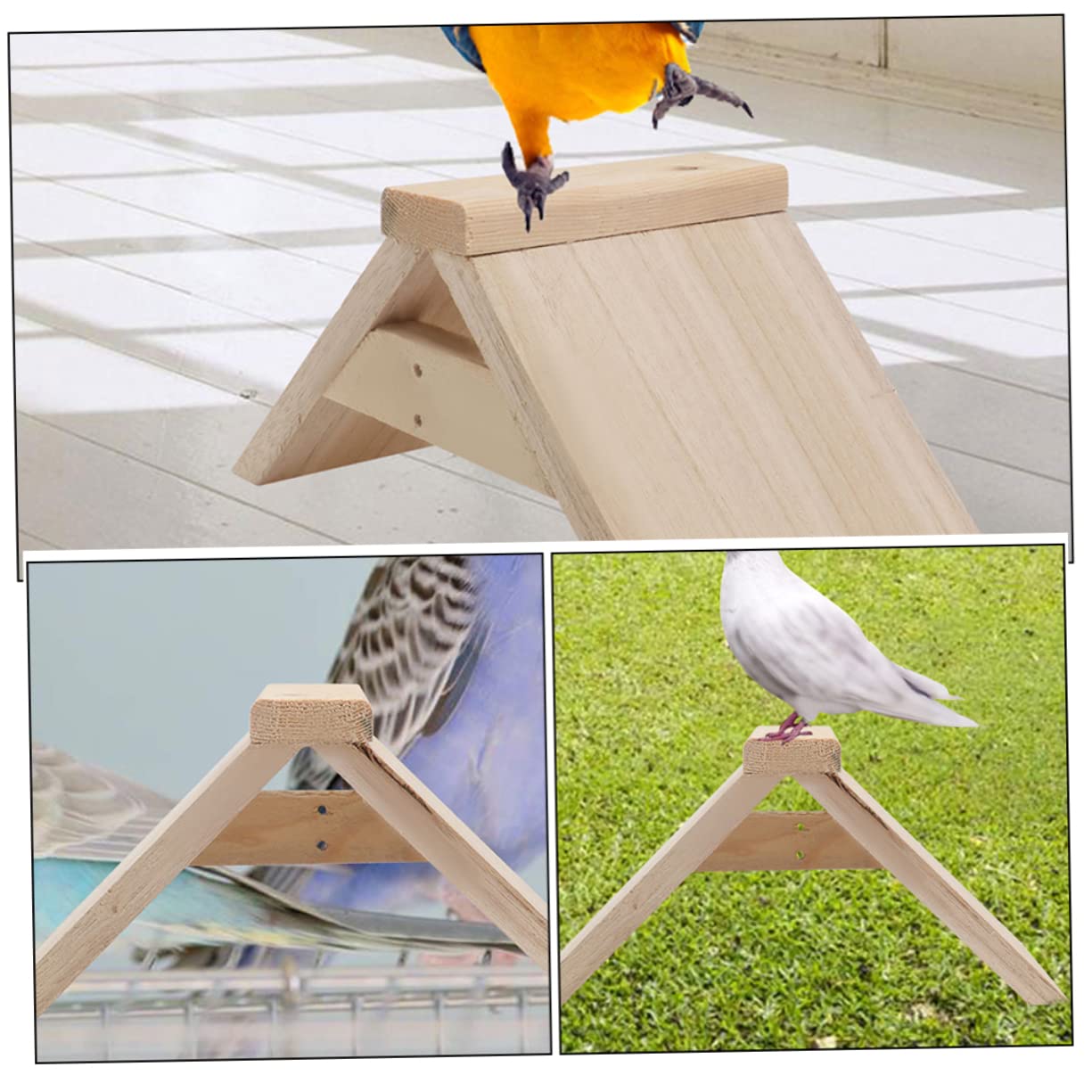 COLLBATH Lot De 5 Perchoirs à Pigeons en Bois Naturel Support Stable pour Oiseaux Surface Lisse Polie Adapté Cages à Oiseaux Et Pigeonniers Accessoire De Loisirs pour Perroquets Et