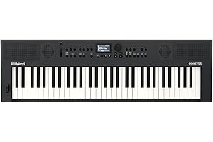 Roland E-X10 Arranger Keyboard: Creative Expansion for Discerning Musicians
