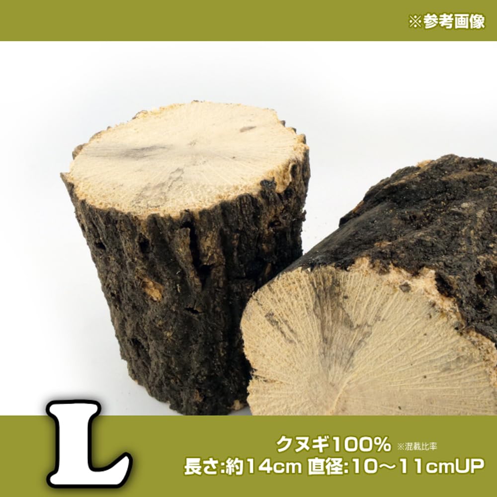 Amazon | 産卵木 Lサイズ クヌギ材 11～12本セット｜クワガタ繁殖用