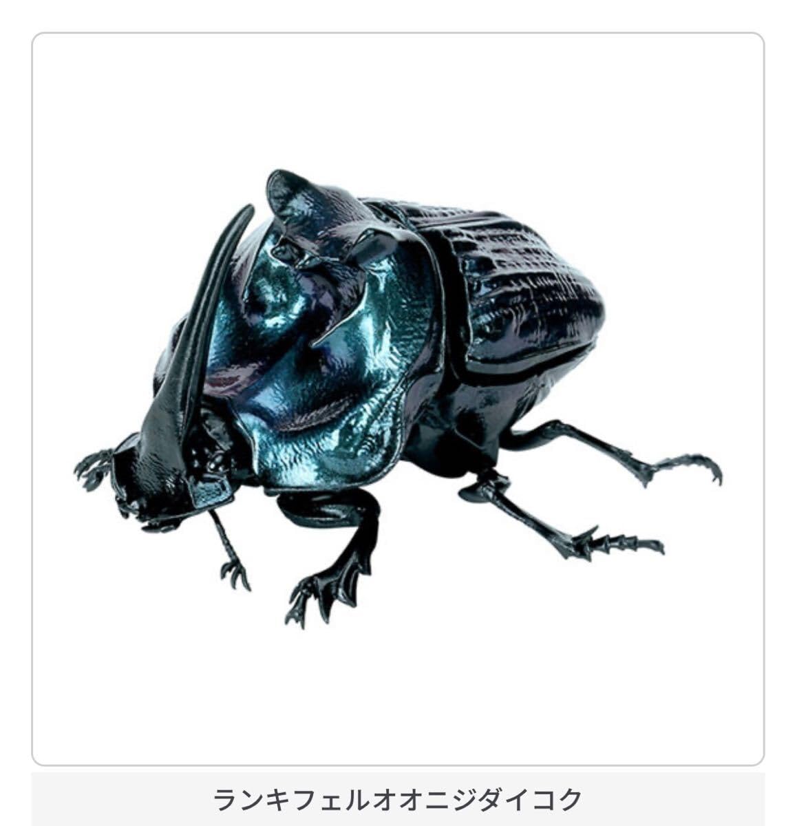 Amazon.co.jp: いきもの大図鑑 かぶとむし07 ランキフェルオオニジ