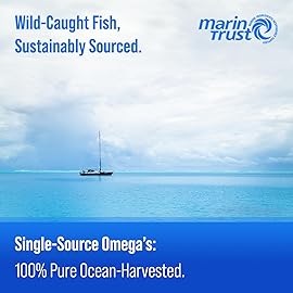 Triple Strength Omega 3 Fish Oil 3600 mg | EPA & DHA | 180 Softgels | Burpless Fish Oil Supplement, Wild Caught | Over 2100mg Omega-3 Fatty Acids Supplements | Natural Lemon Flavor Omegas 3 Pills