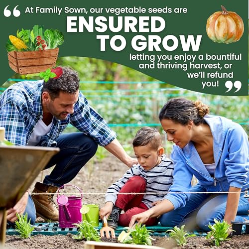 Herb Seeds | 10 Individual Packs | 2026 Season | Non-GMO | Mint, Parsley, Basil, Thyme & More! | for Planting Indoor & Outdoor | by Family Sown - Image 6